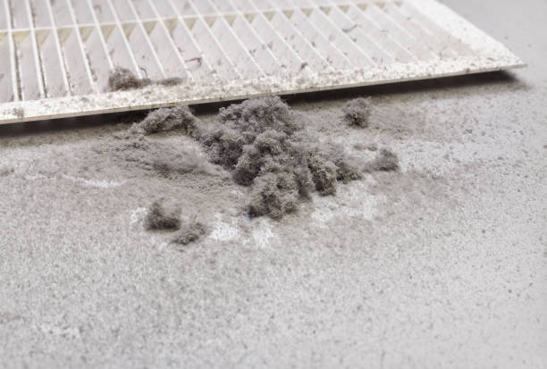Best Local Air Duct Cleaning Services  in Perry, UT