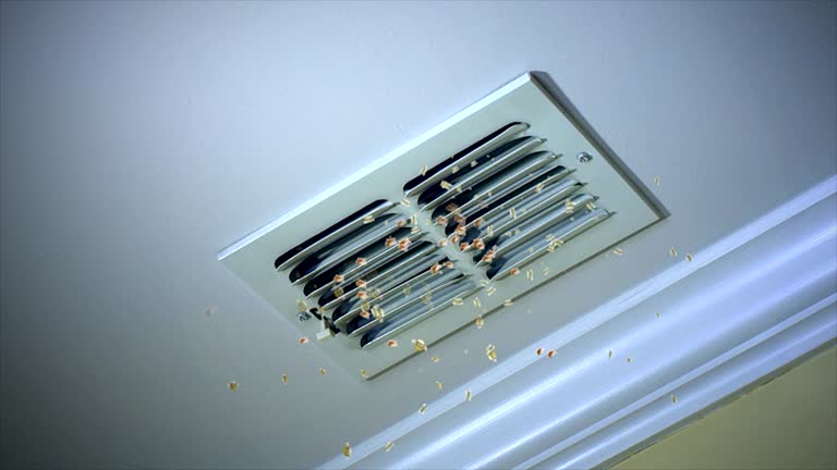 Best Air Duct Cleaning Near Me  in Perry, UT