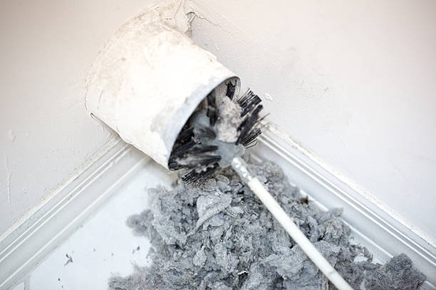 Best Air Duct Sanitizing Services  in Perry, UT